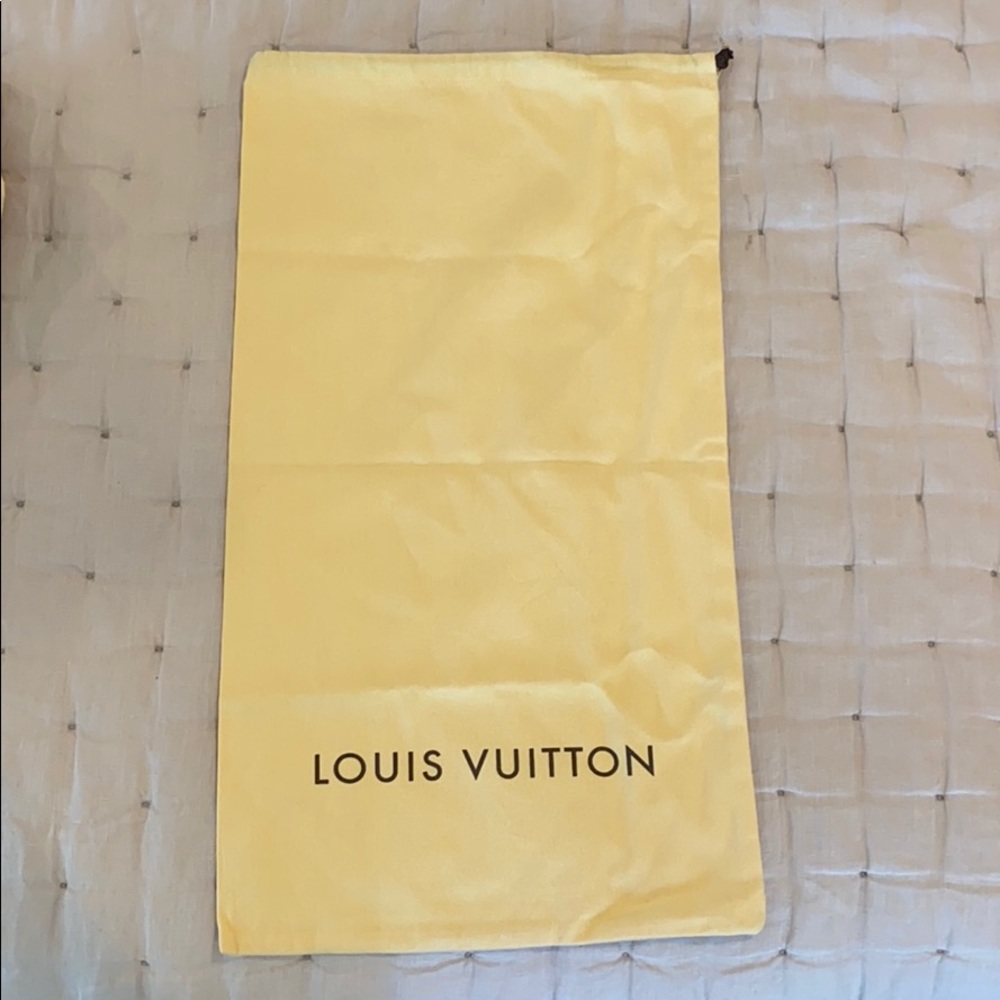 Louis Vuitton bag
